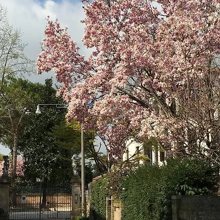 Villa Grimani *